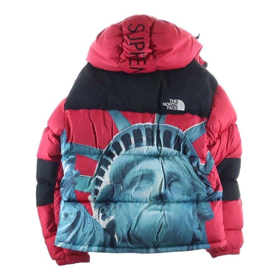 Supreme（シュプリーム） 19AW×ノースフェイス スタチューオブ 