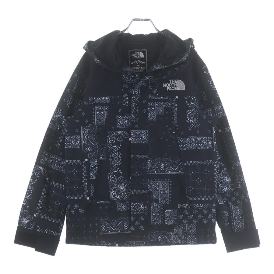 ノースフェイス NOVELTY ECO GTX MOUNTAIN JACKET THE NORTH FACE（ザ ノースフェイス） GORE-TEX NOVELTY ECO GTX