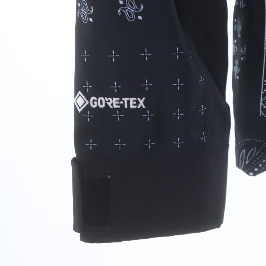 THE NORTH FACE（ザ ノースフェイス） GORE-TEX NOVELTY ECO GTX