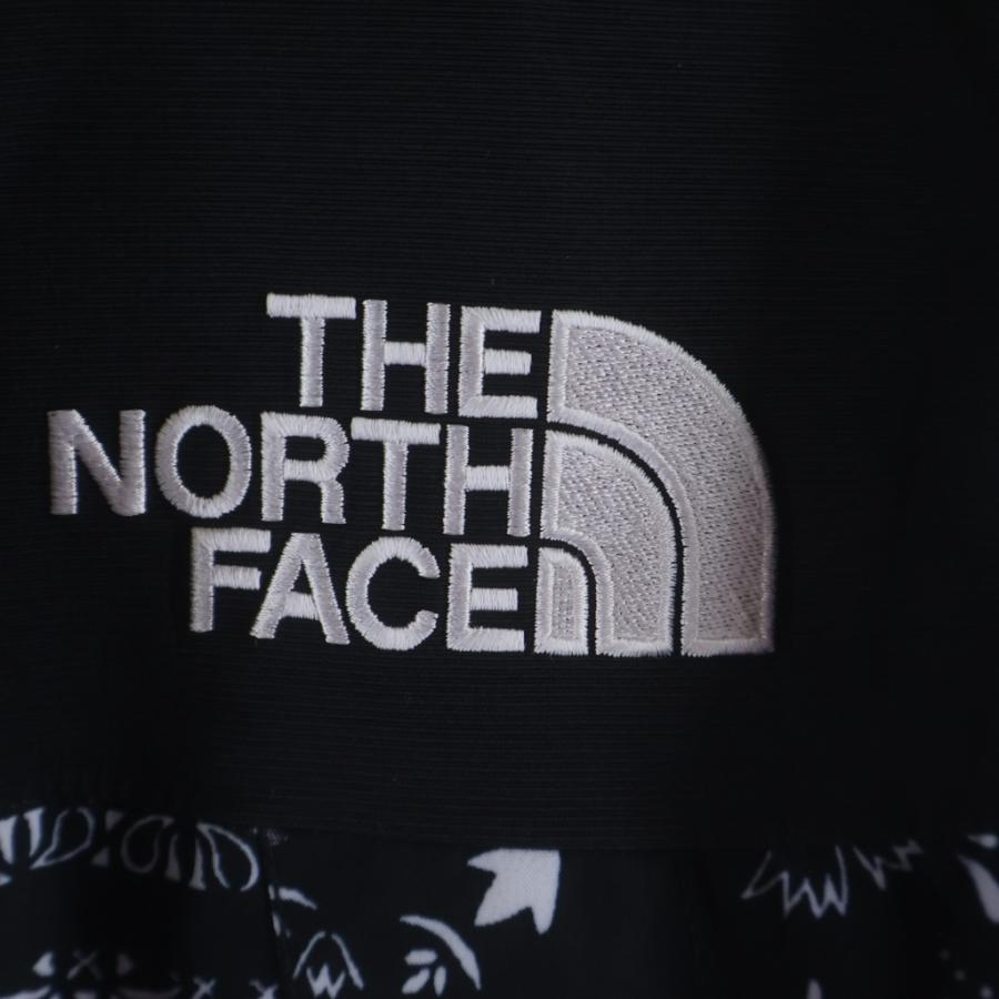 THE NORTH FACE（ザ ノースフェイス） GORE-TEX NOVELTY ECO GTX