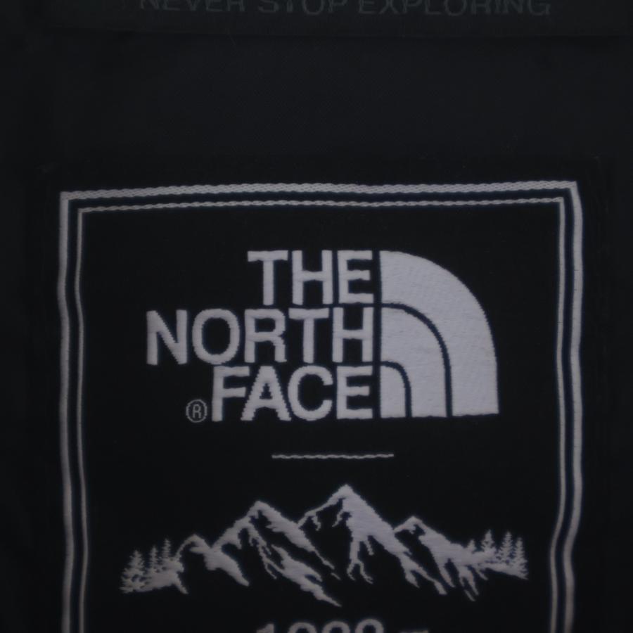 THE NORTH FACE（ザ ノースフェイス） GORE-TEX NOVELTY ECO GTX
