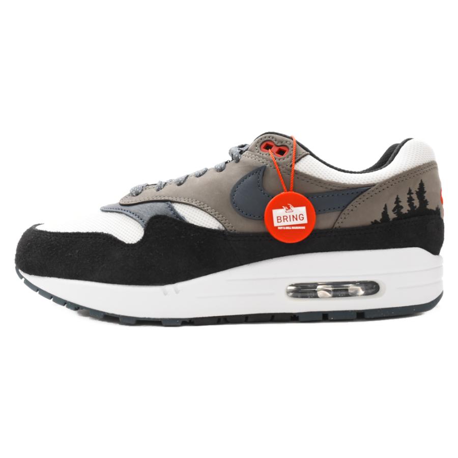 NIKE ナイキ AIR MAX 1 PRM Escape FJ0698-100 エアマックス1 