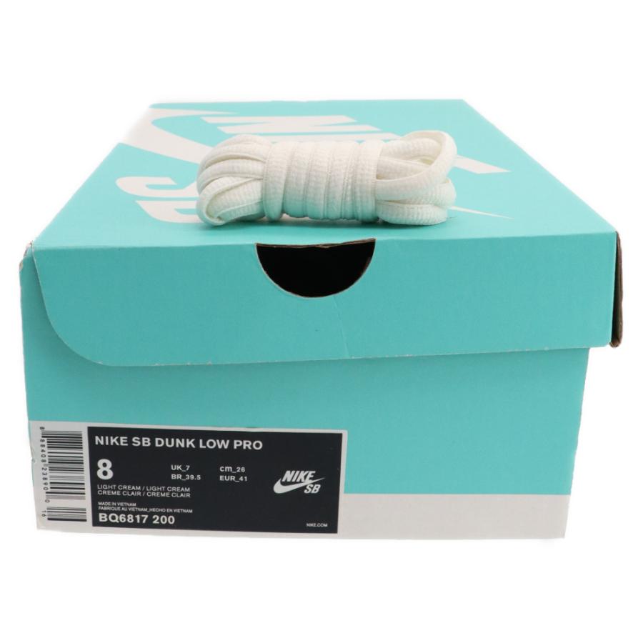 Nike SB ナイキエスビー DUNK LOW PRO THUNDER STORM BQ6817-200