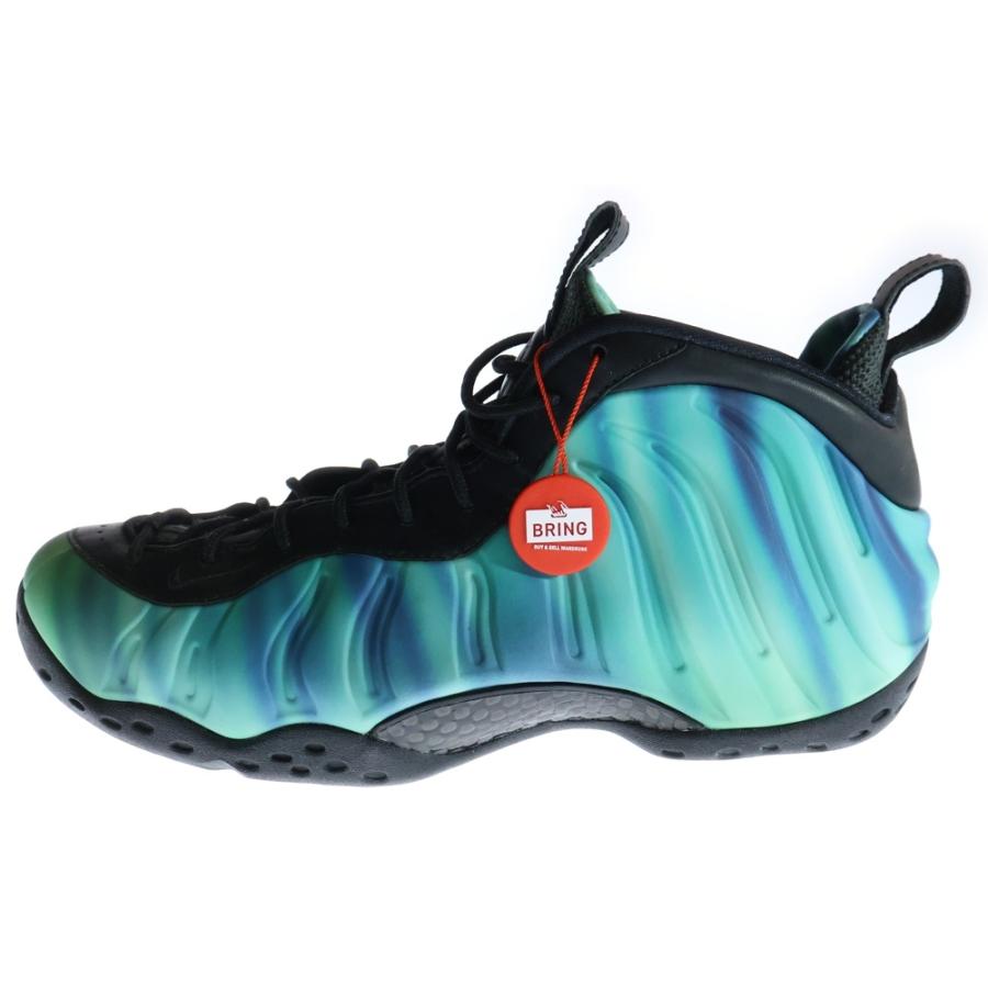 NIKE（ナイキ） AIR FOAMPOSITE エアフォームポジット ワン ノーザン 