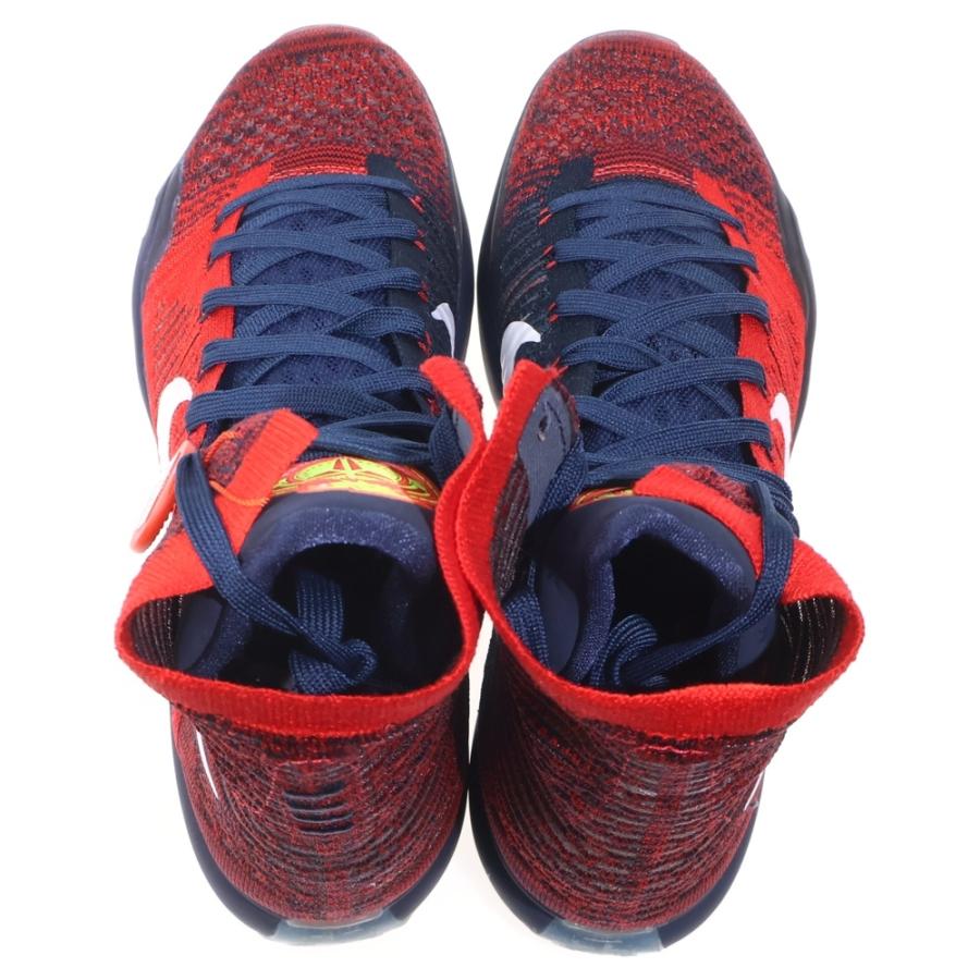 NIKE ナイキ28.5㎝ US10.5 レブロン10 中国限定モデル 【公式通販】