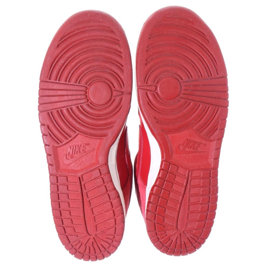 Nike SB NIKE ナイキエスビー 【観賞用 2010年製】DUNK LOW PRO 304292 