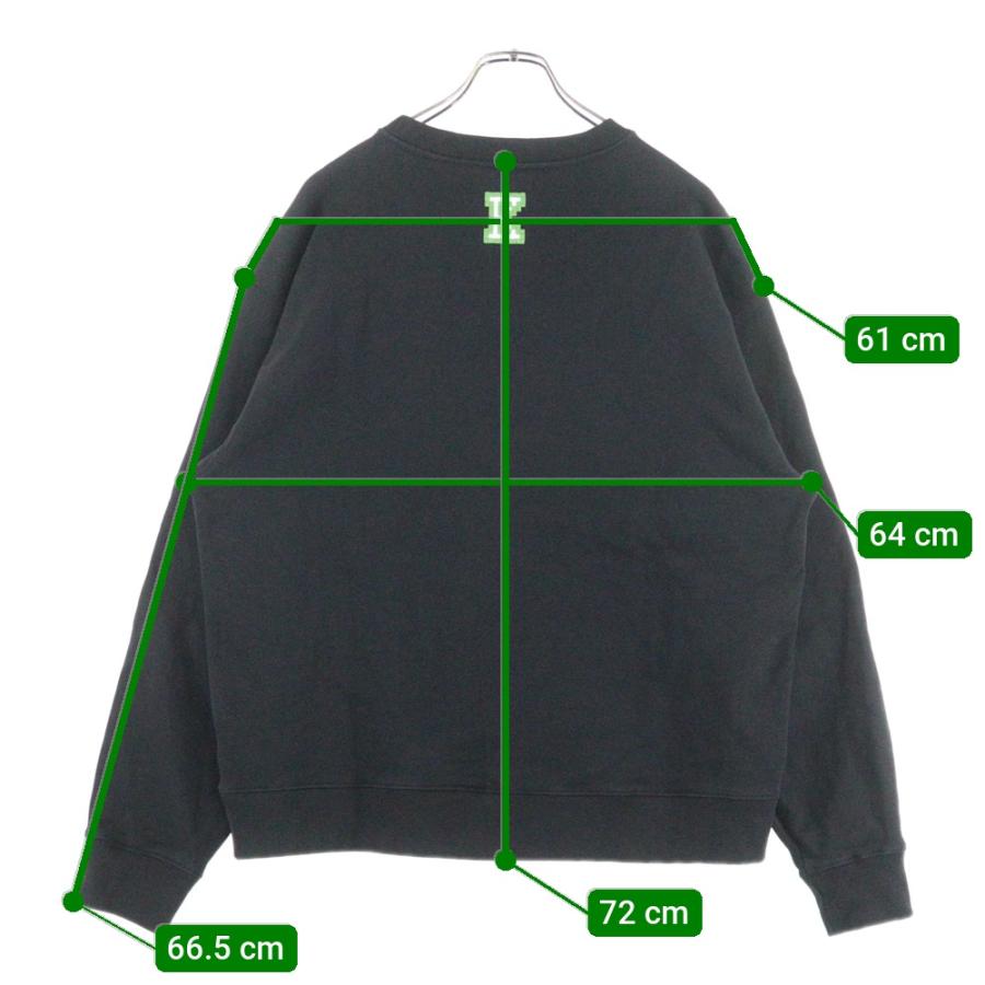 KENZO（ケンゾー） 23SS PIXEL TIGER CREW NECK SWEAT ピクセル