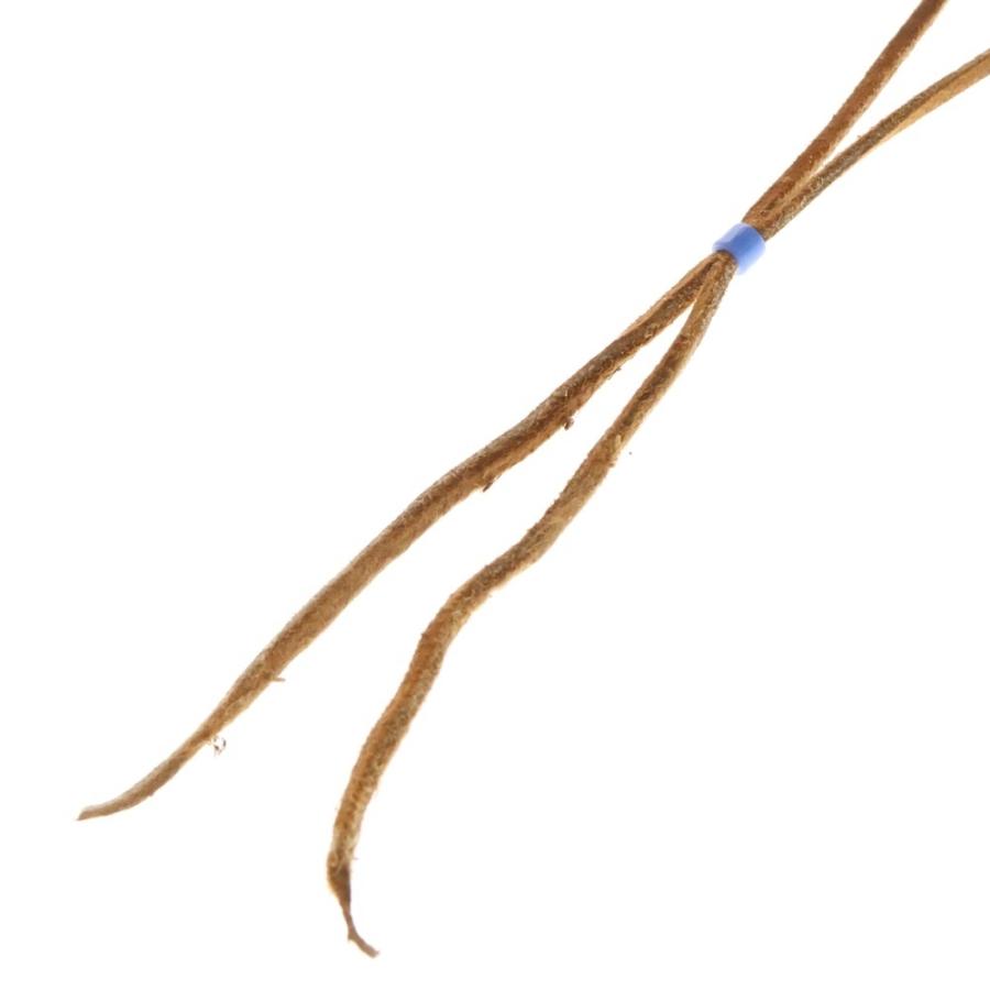 goro's（ゴローズ） [新品] 革紐(赤茶) : BRING Yahoo!ショップ - 通販