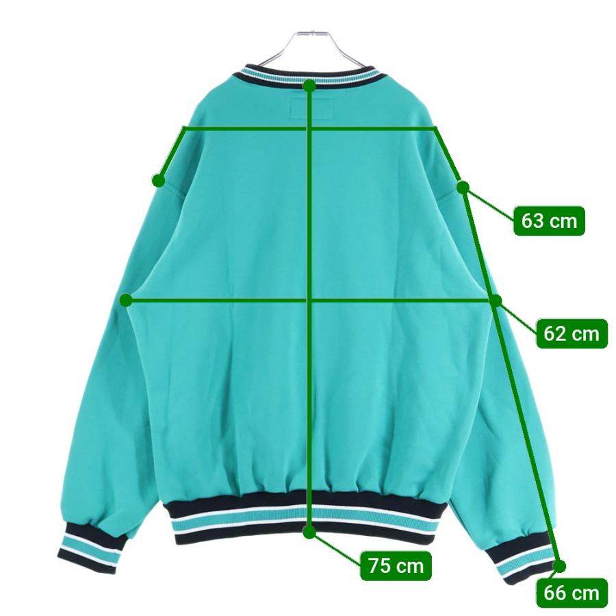 WACKOMARIA ワコマリア ジップパーカー ミント　マリア　訳あり WACKO MARIA（ワコマリア） 25AW MIDDLE WEIGHT SWEAT SHIRT TYPE-2