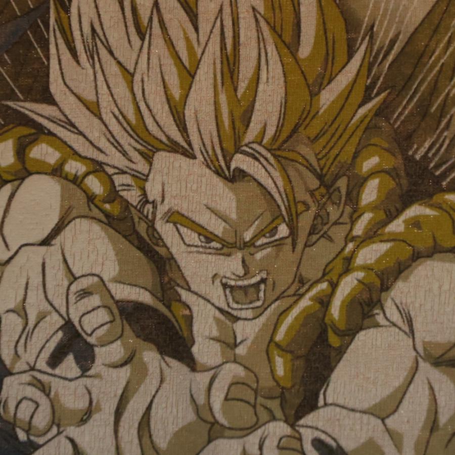 ヴィンテージ 00S VINTAGE DRAGONBALL Z TEE ドラゴンボールゼット  