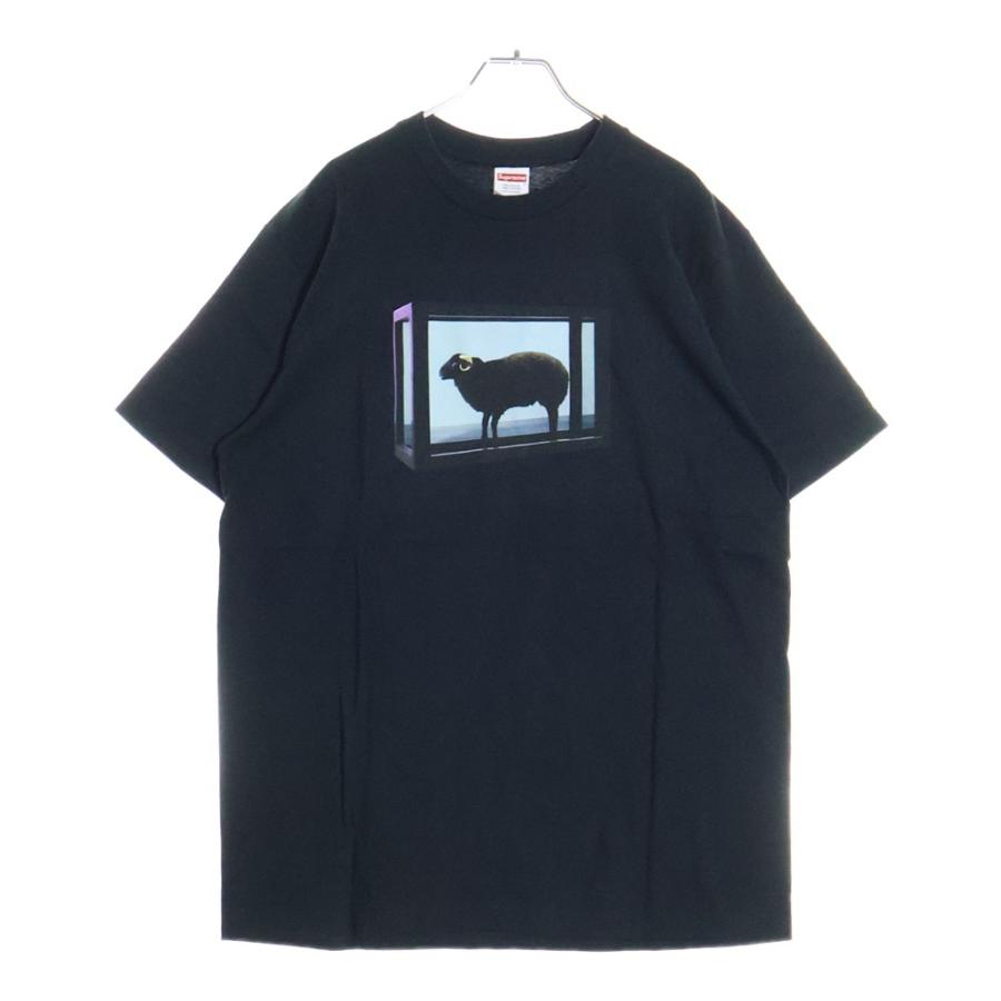 Supreme（シュプリーム） 25SS Damien Hirst Tee ダミアンハースト