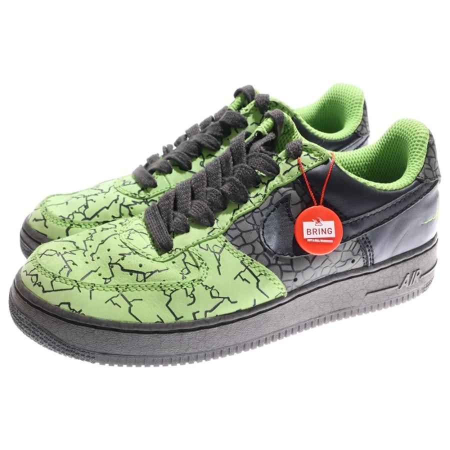 Nike SB ナイキエスビー 【観賞用 2006年製】 AIR FORCE 1 HUFQUAKE 