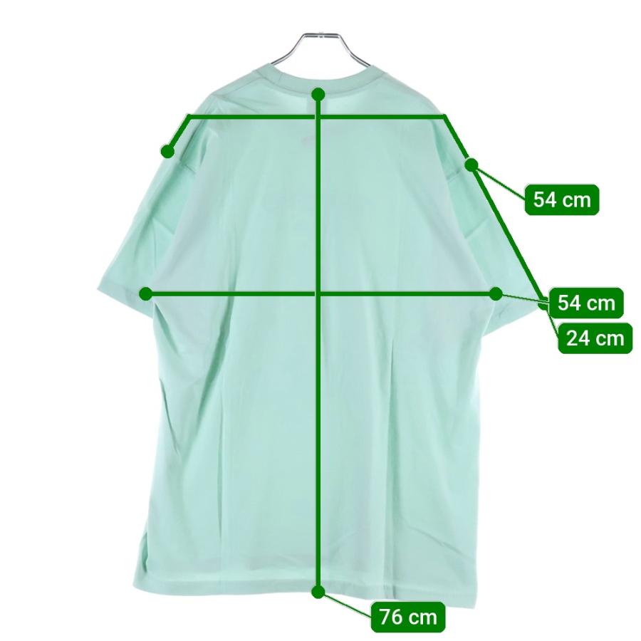 Supreme（シュプリーム） 20SS ShopTee Pale Mint センターロゴ 半袖T