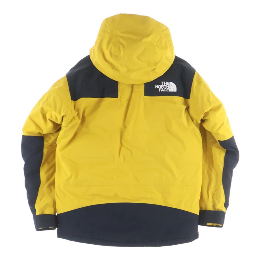THE NORTH FACE（ザ ノースフェイス） MOUNTAIN DOWN JACKET GORE-TEX