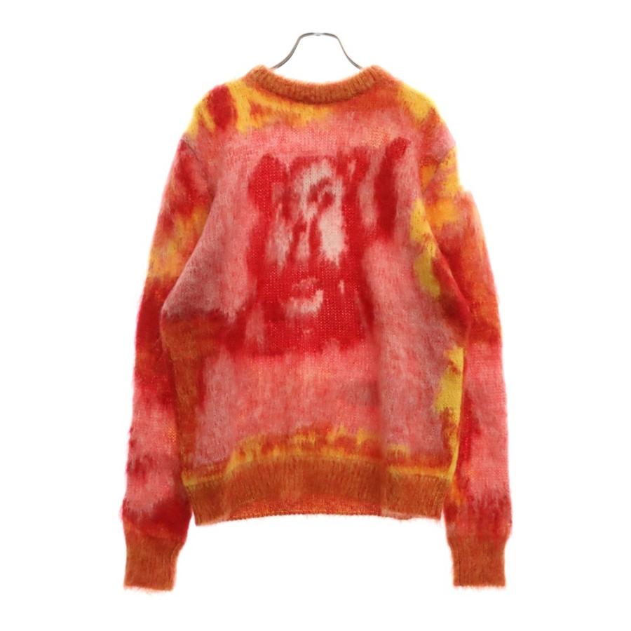DIOR ディオール 21AW×PETER DOIG エアブラシライオン モヘア ニット 