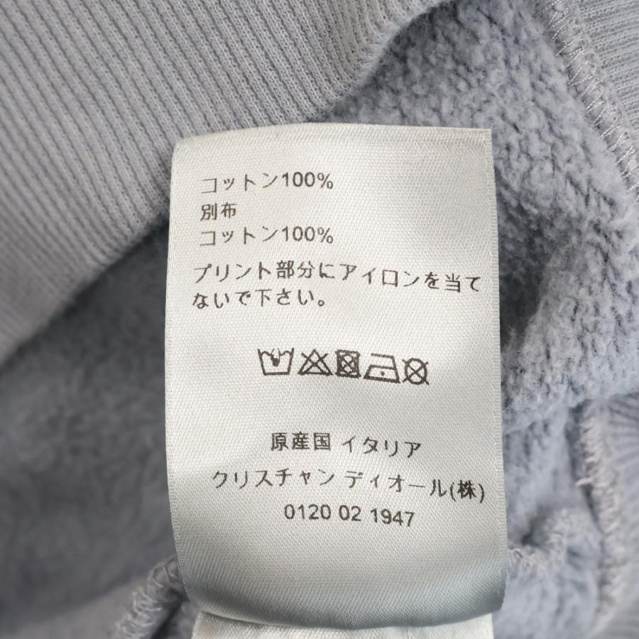 DIOR ディオール ×Daniel Arsham ダニエル アーシャム ロゴプリント
