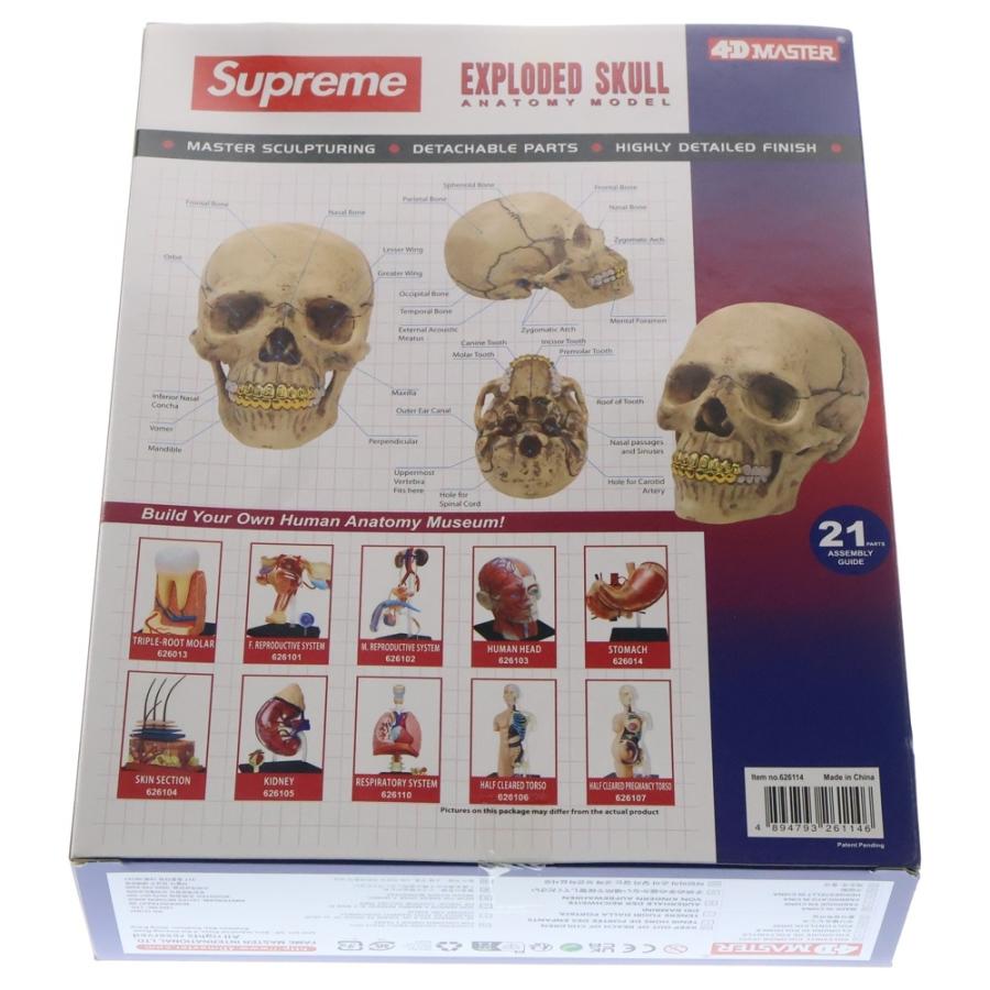 Supreme（シュプリーム） 23AW 4D Model Human Skull 4Dモデル