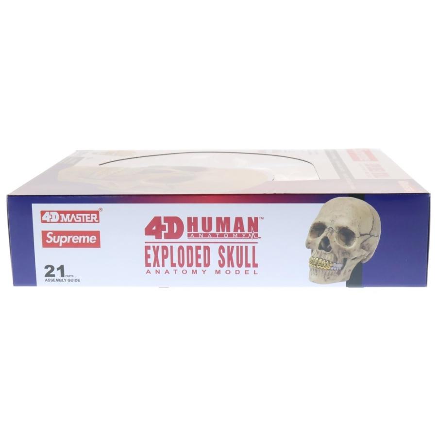 Supreme（シュプリーム） 23AW 4D Model Human Skull 4Dモデル