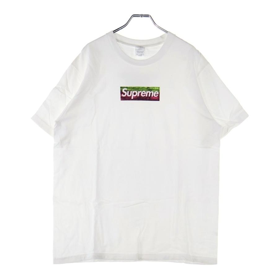 Supreme（シュプリーム） 25SS ×Sterling Ruby Box Logo Tee