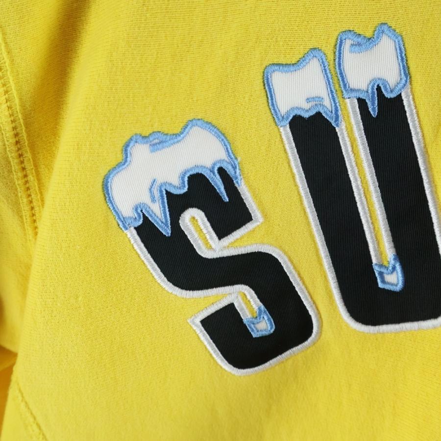 Supreme（シュプリーム） 20AW Icy Arc Hooded Sweatshirt アイシー