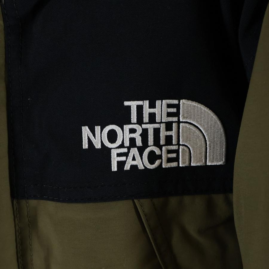 THE NORTH FACE（ザ ノースフェイス） MOUNTAIN DOWN JACKET GORE-TEX