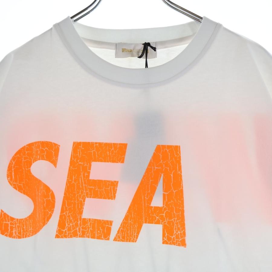 WIND AND SEA（ウィンダンシー） CRACK P DYE S/S TEE クラックロゴ