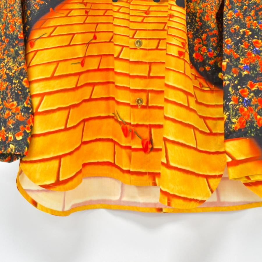 LOUIS VUITTON (ルイヴィトン) 19SS オズの魔法使い ブリック LOUIS VUITTON (ルイヴィトン) 19SS オズの魔法使い ブリック