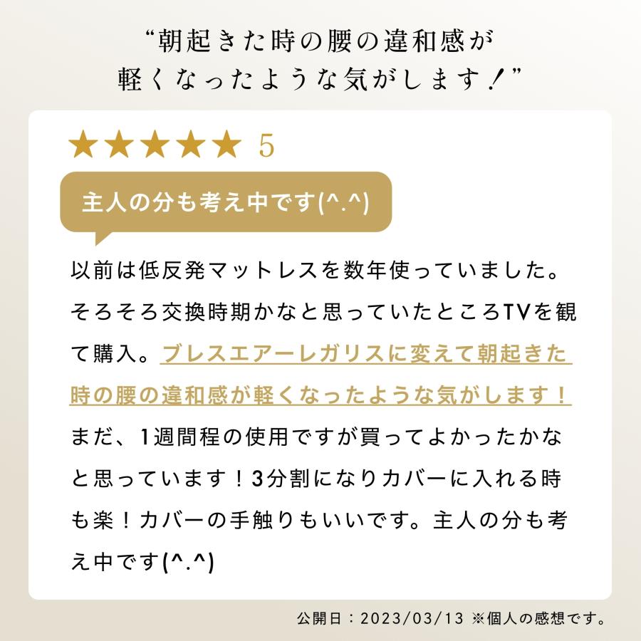 爆買 マットレス ブレスエアー レガリス シングル 高反発 極厚