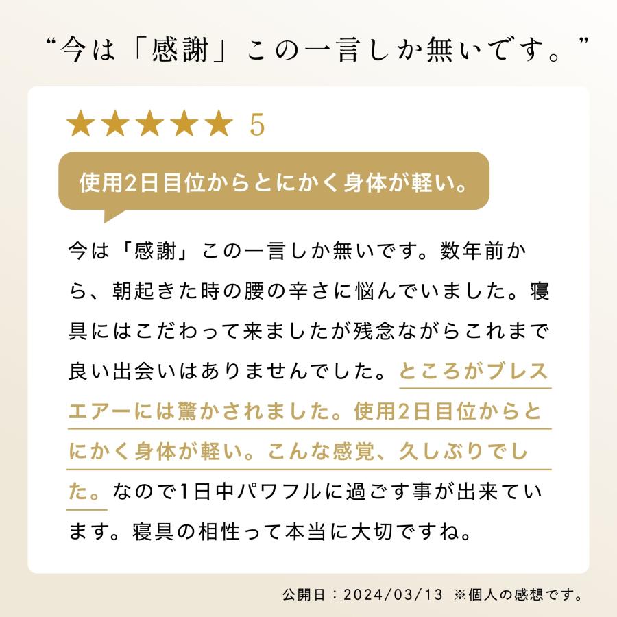 アトピー協会推奨品 認定商品 ブレスエアー レガリス シングル アトピー協会推奨品 認定商品 ブレスエアー レガリス シングル