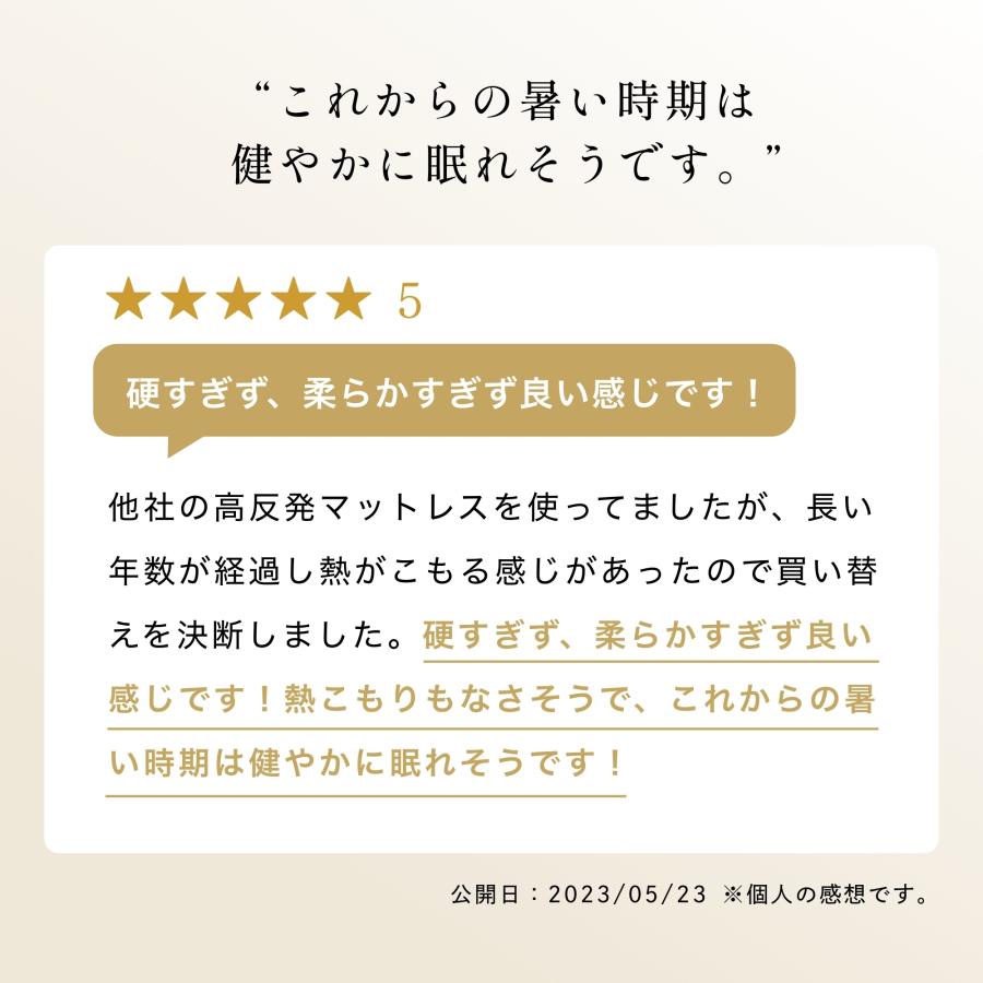 アトピー協会推奨品 認定商品 ブレスエアー レガリス シングル アトピー協会推奨品 認定商品 ブレスエアー レガリス シングル