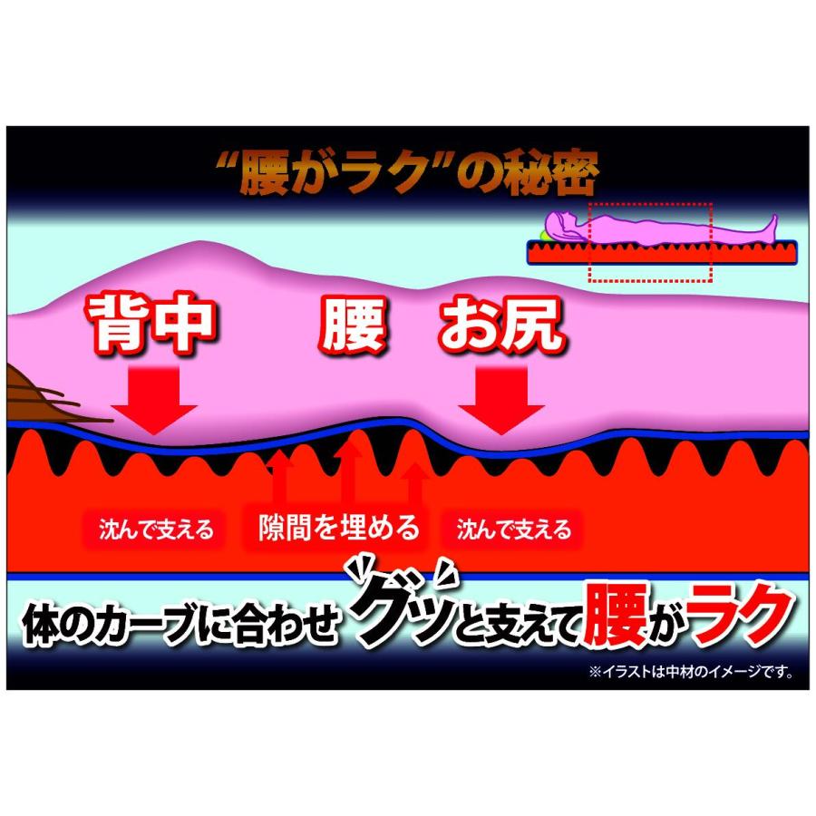 西川（nishikawa） 爆買 バイオウェーブ マットレス ダブル 高反発