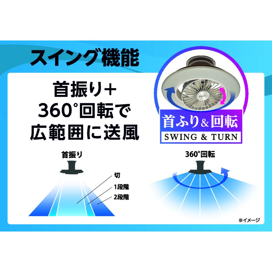 Luminous ルミナス サーキュライト 8畳用 EZシリーズ DCC-SW08EC