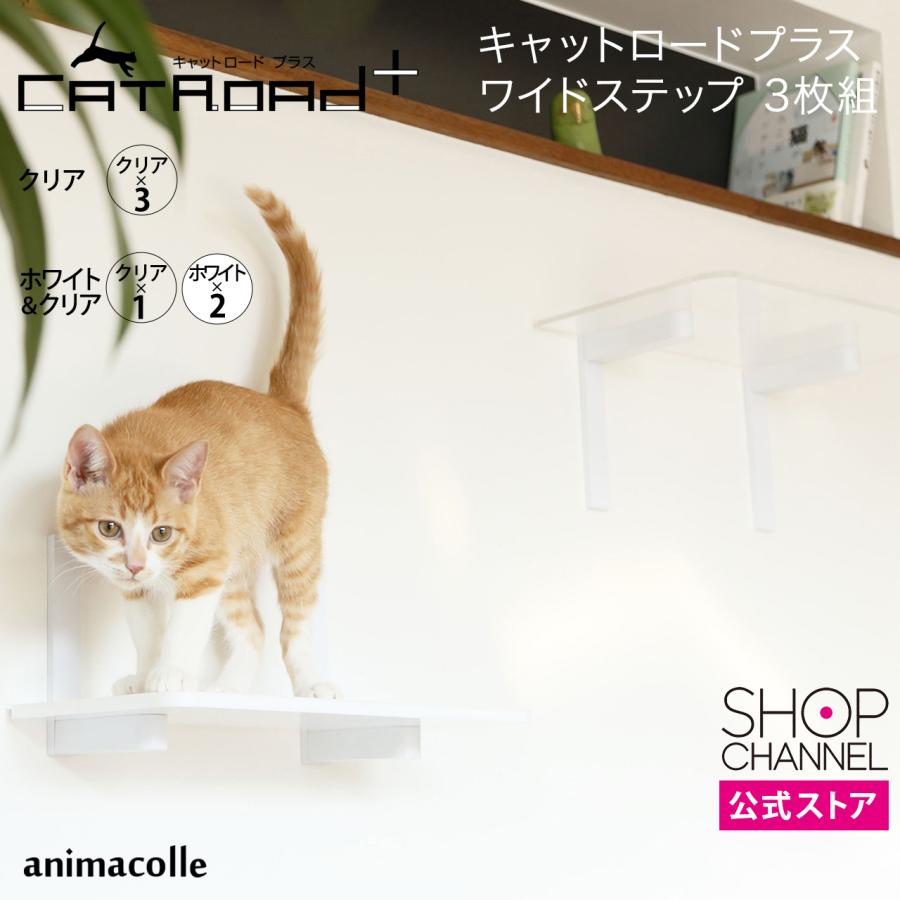 キャットステップ 壁面 壁取り付け アニマコレ キャットロードプラス 