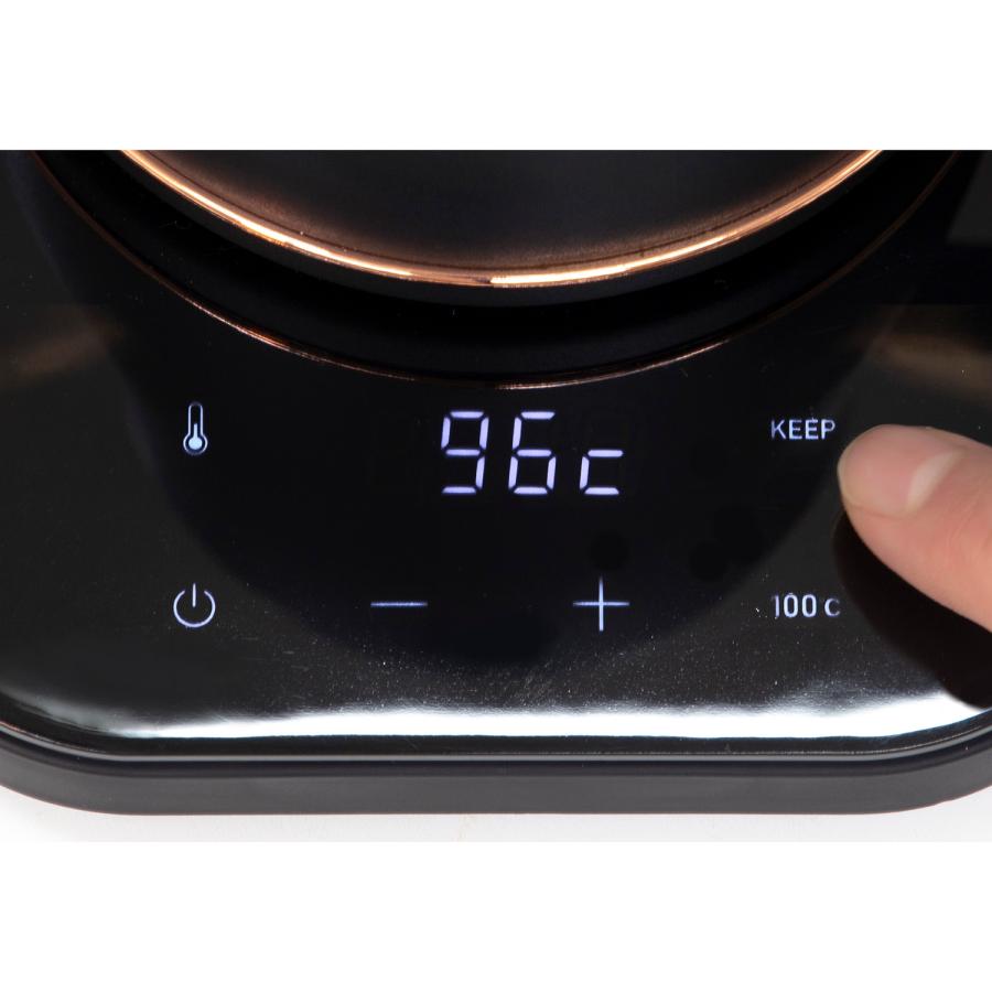 山善（YAMAZEN） 電気ケトル 温度調節機能付き 1℃単位 50-100℃ で温度