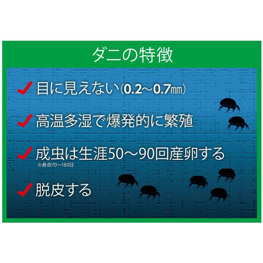 日本製 特許取得 ダニ捕りパック ブラックホール 7枚セット 一旦入ると