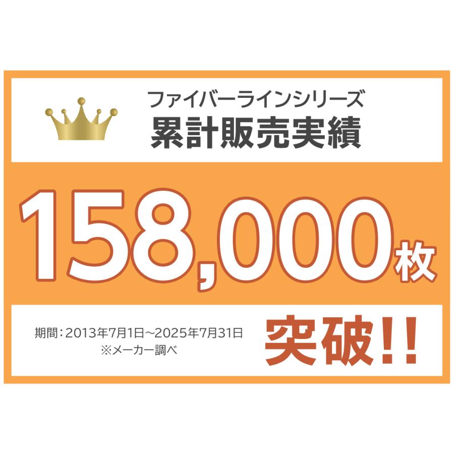 爆買 Wファイバーライン 鉄フライパンセット 特別レシピカード付 日本