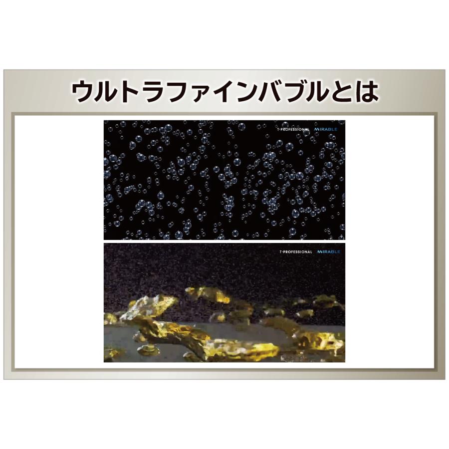コードレス高圧洗浄機 ミラブル アクアブラスト 特別セット FBHPM-AQB