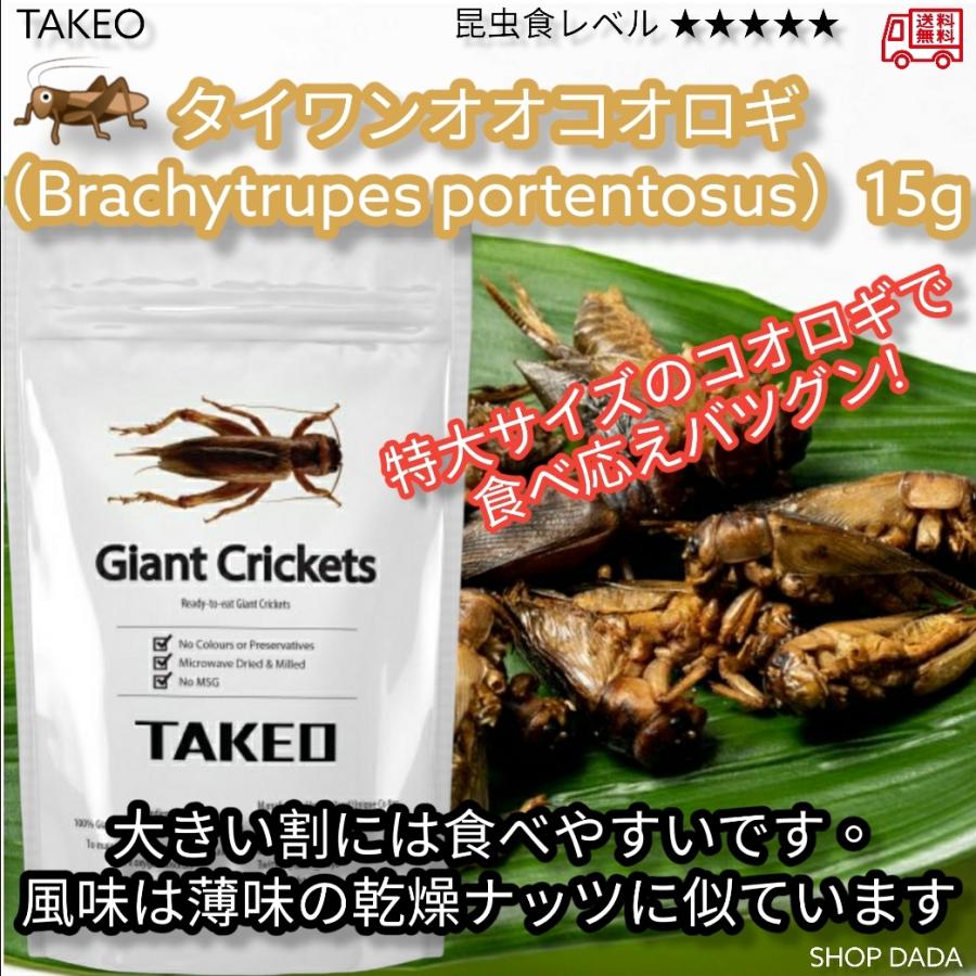 TAKEO 昆虫食 タイワンオオコオロギ15g 食用虫 おつまみ 珍味 罰ゲーム ドッキリ イタズラ ゲテモノ イベント サプライズ ...