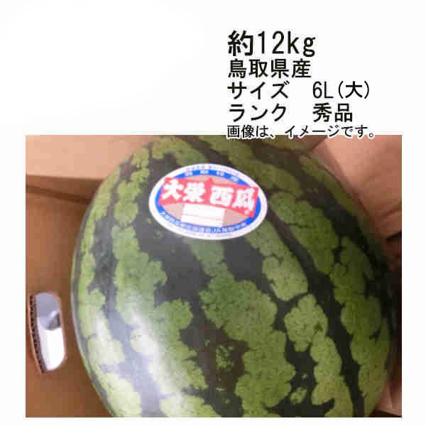 352円 本物新品保証 冷凍食品 業務用 特大海鮮焼売 約37g 個入 冷凍食材 焼売