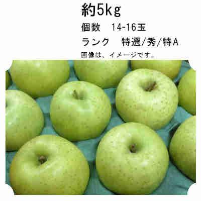 送料無料 王林 りんご 青森県産 約5kg 個数 14-16玉 ランク 特選/秀/特