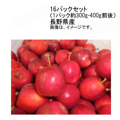 乙女りんご16パック Amazon.co.jp: りんご乙女(大)16枚入 [その他