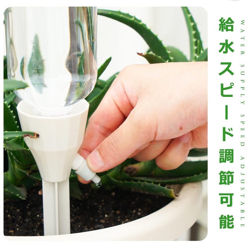 水やり当番 12個セット 観葉植物 自動水やり器 自動給水器 自宅 植木鉢 植物 留守中 園芸 盆栽 栄養 木 6-MIZUIRE｜shopeast｜06