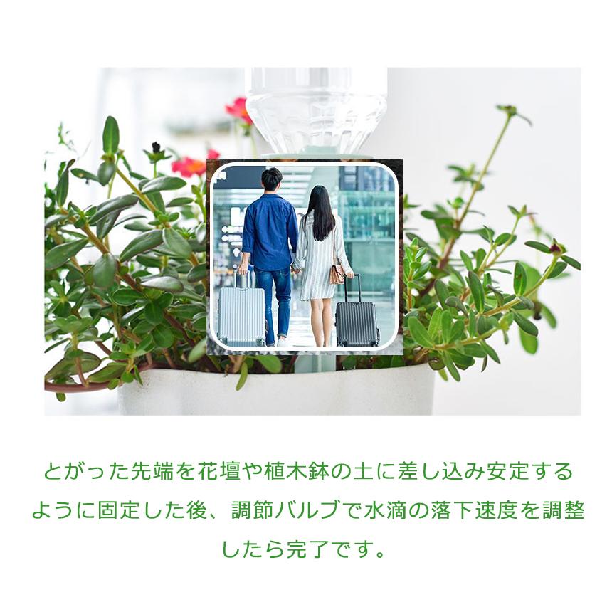 水やり当番 12個セット 観葉植物 自動水やり器 自動給水器 自宅 植木鉢 植物 留守中 園芸 盆栽 栄養 木 6-MIZUIRE｜shopeast｜10