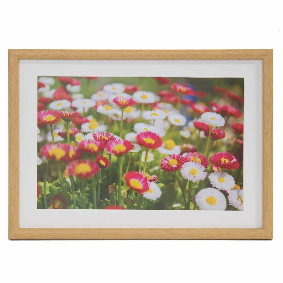 FUJICOLOR 木製額縁 M20 ワイド6切 木地 407789 : SHOP