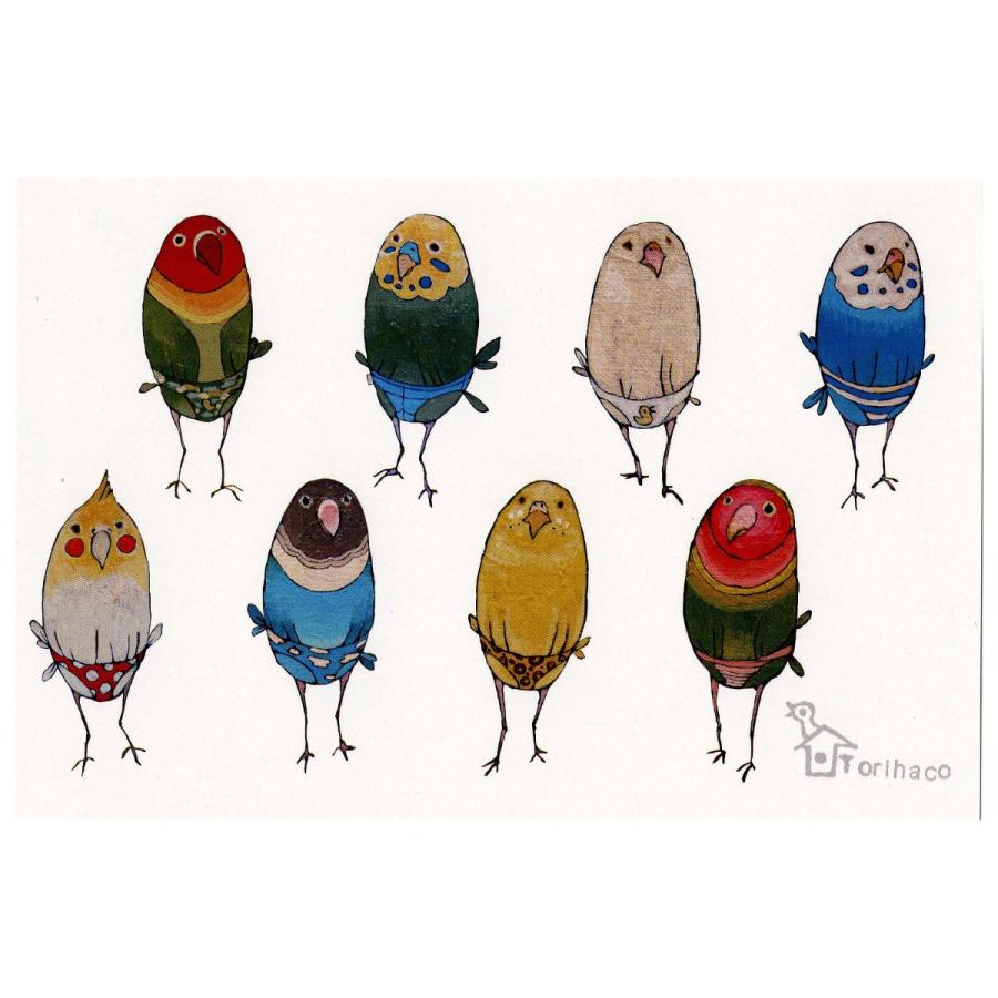 Torihaco】 ポストカード '- パンツインコ 【メール便対応】 : Freddo