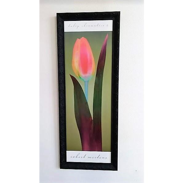 油彩画 渡部ひでき (ベニス) f6 渡部ひでき 「 ベニス 」 油絵 油彩画