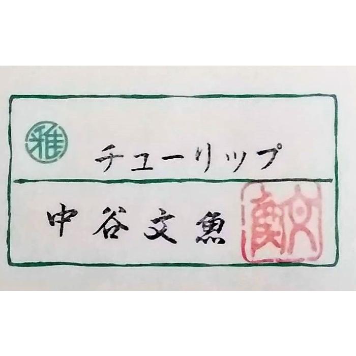 中谷文魚『チューリップ』日本画 色紙額エンジマット ガクブチ外寸38.5