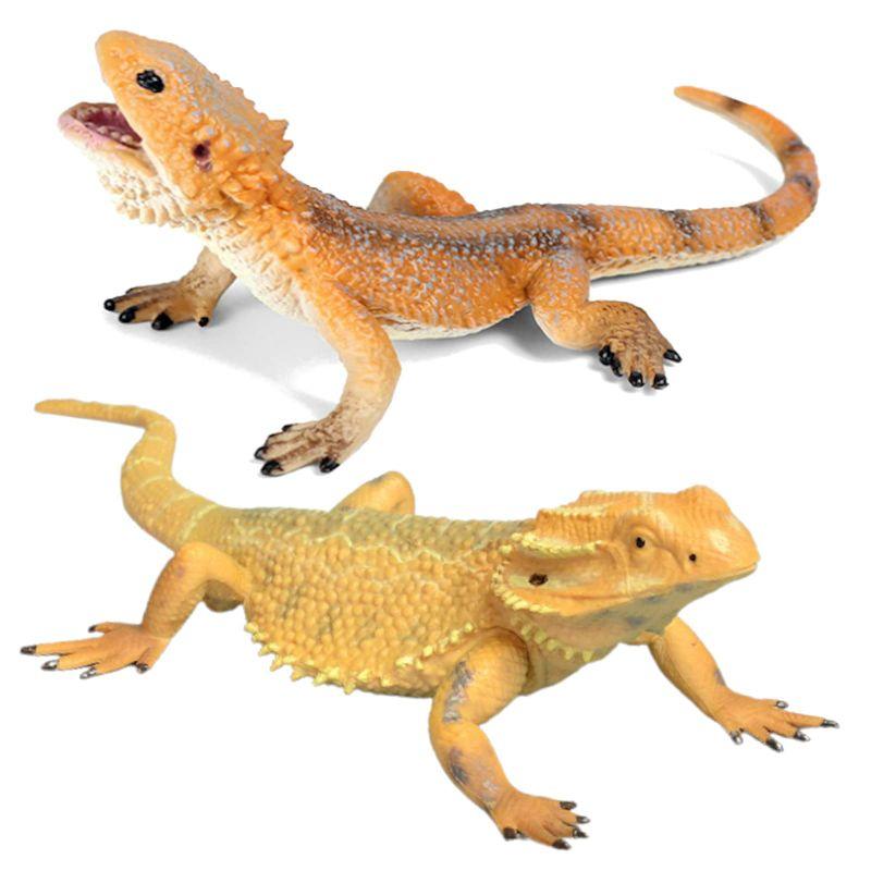 UTST 爬虫類 フィギュア フトアゴヒゲトカゲ フィギュア コモドドラゴン フィギュア (フトアゲ2体) :20230219111711 ... - Shophikaru 20230219111711 02267