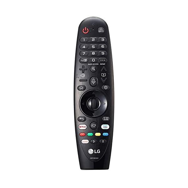 LGエレクトロニクス LG マジックリモコン AN-MR20GA 音声認識対応