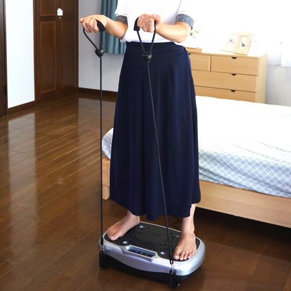 振動マシン ライフフィットトレーナー 2way Fit001 送料無料